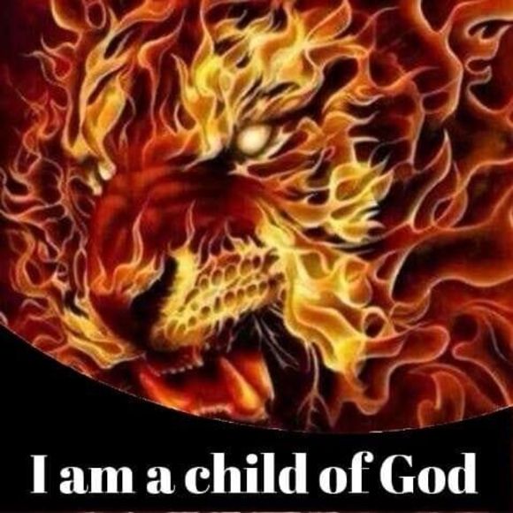 Meet your Posher, Michael - Picture 1 of 1